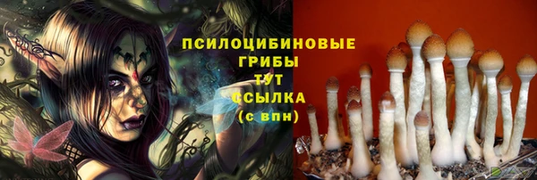 MDMA Верхний Тагил